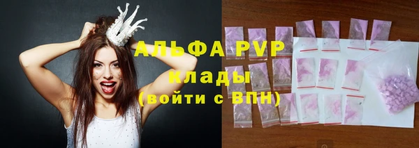 сатива Кинешма