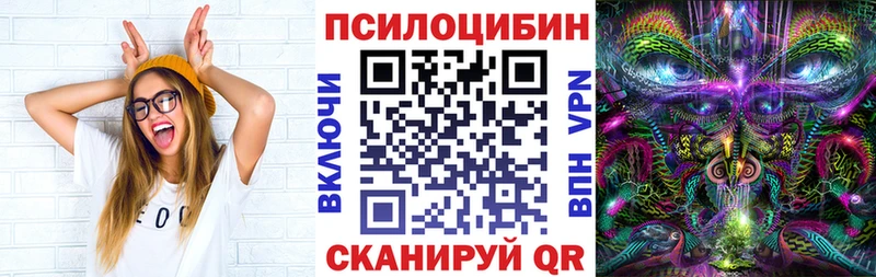 Галлюциногенные грибы Psilocybine cubensis  Купить  Воскресенск 